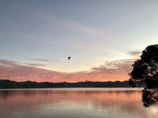 beach sunrise